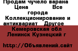 Продам чучело варана. › Цена ­ 15 000 - Все города Коллекционирование и антиквариат » Другое   . Кемеровская обл.,Ленинск-Кузнецкий г.